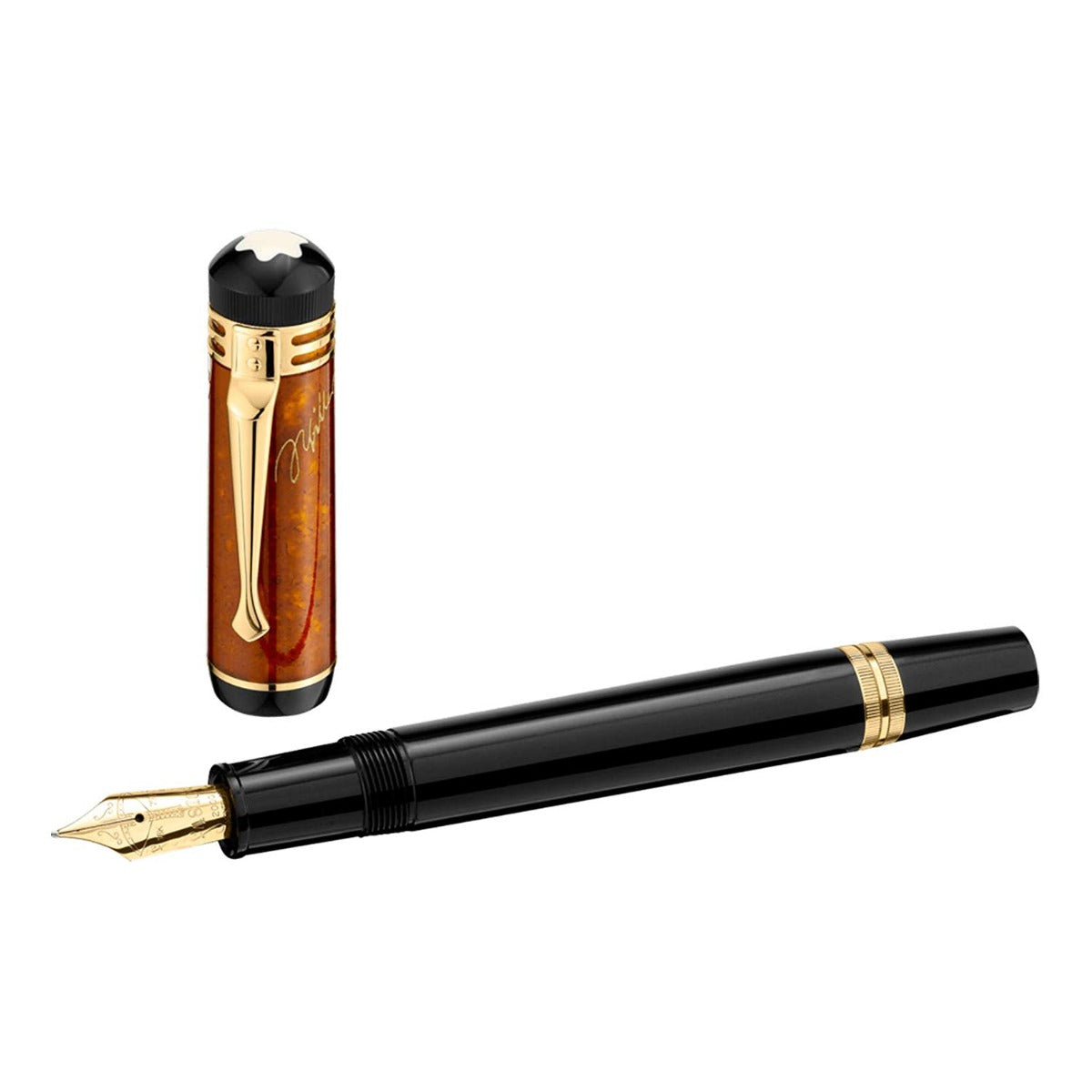 Penna stilografica Friedrich Schiller Limited Edition